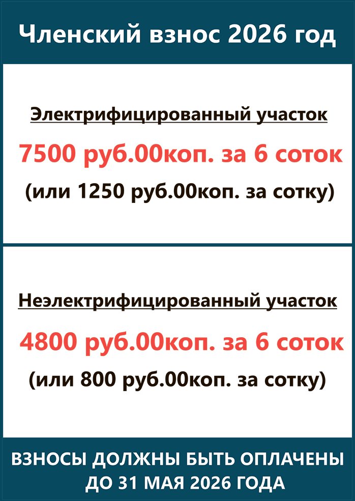 Должники 1
